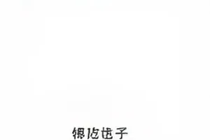 《同一段话的两种解读》封面：同一段文字上叠加两种颜色的批注